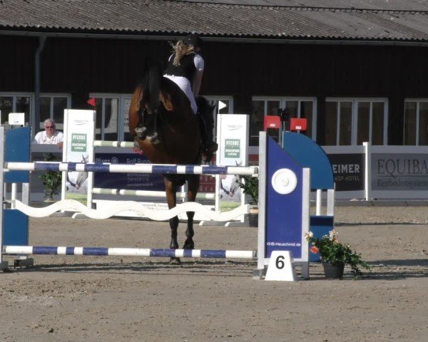 Reitturnier Memmingen 2024