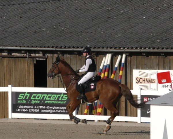 Reitturnier Memmingen 2024
