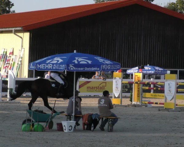 Reitturnier Memmingen 2024
