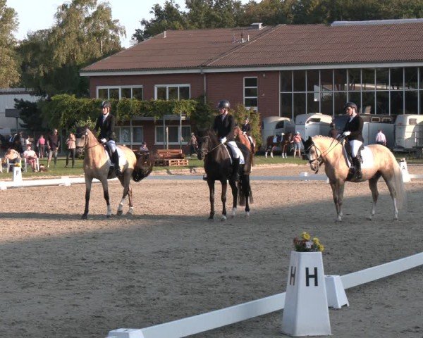 Reitturnier Langenfeld - Gut Langfort 2024