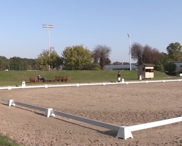 Reitturnier Langenfeld - Gut Langfort 2024