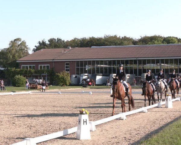 Reitturnier Langenfeld - Gut Langfort 2024