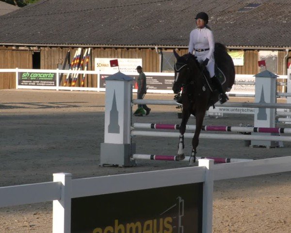 Reitturnier Memmingen 2024
