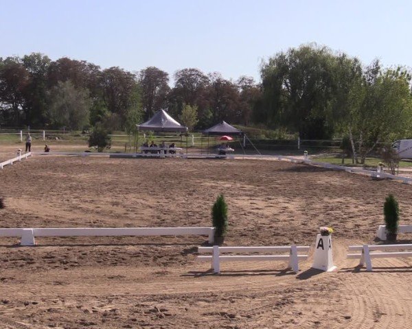 Reitturnier Schenkenhorst 2024