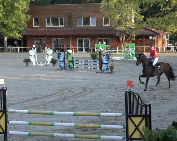 Reitturnier Richelsdorf 2024
