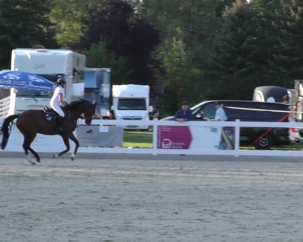 Reitturnier Memmingen 2024