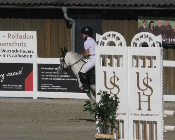 Reitturnier Memmingen 2024