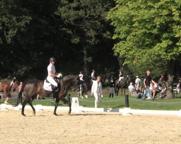Reitturnier Seelitz 2024