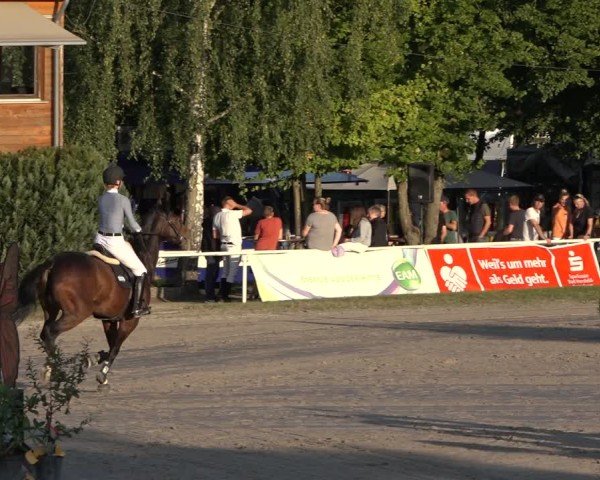 Reitturnier Richelsdorf 2024