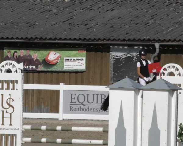 Reitturnier Memmingen 2024
