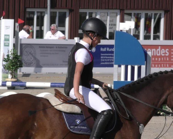 Reitturnier Memmingen 2024