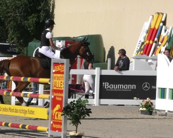 Reitturnier Memmingen 2024