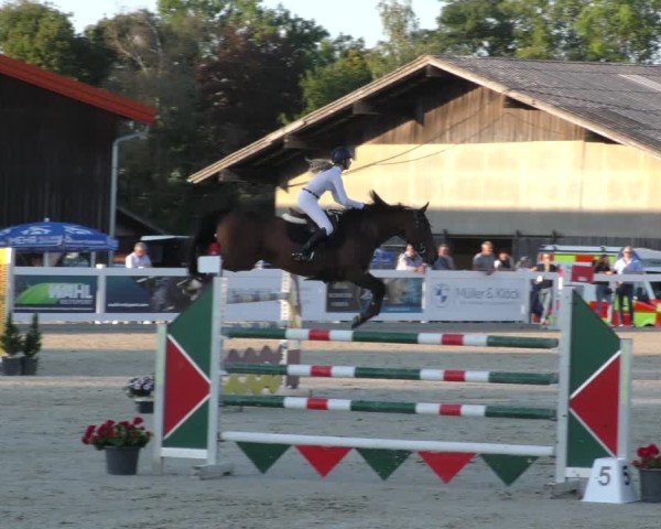 Reitturnier Memmingen 2024