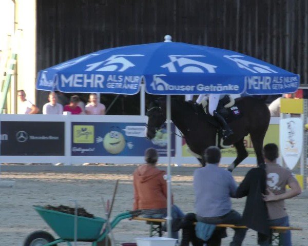 Reitturnier Memmingen 2024