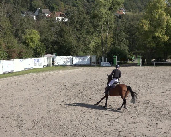 Reitturnier Richelsdorf 2024