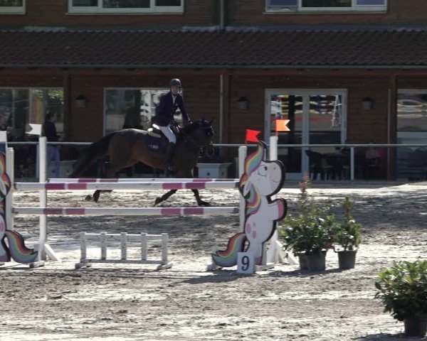 Reitturnier Richelsdorf 2024