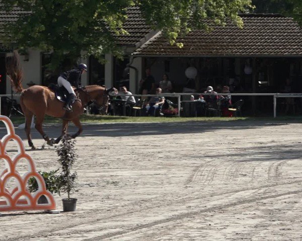 Reitturnier Richelsdorf 2024