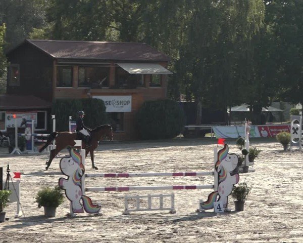 Reitturnier Richelsdorf 2024