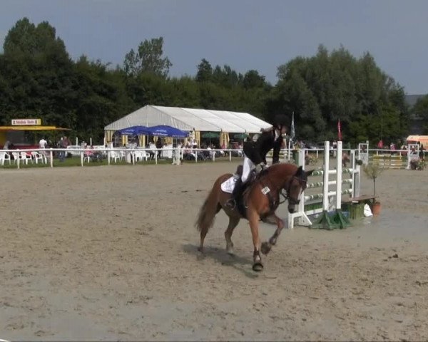Reitturnier Brakel 2013