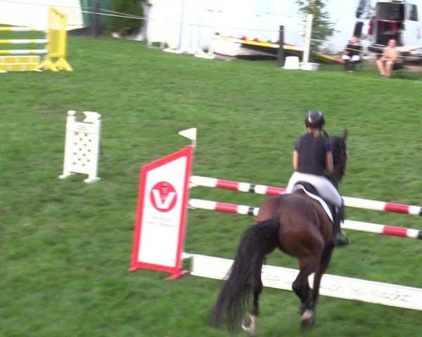 Reitturnier Seelitz 2024
