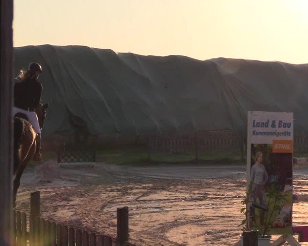 Reitturnier Breiholz "Am Moltkestein" 2024