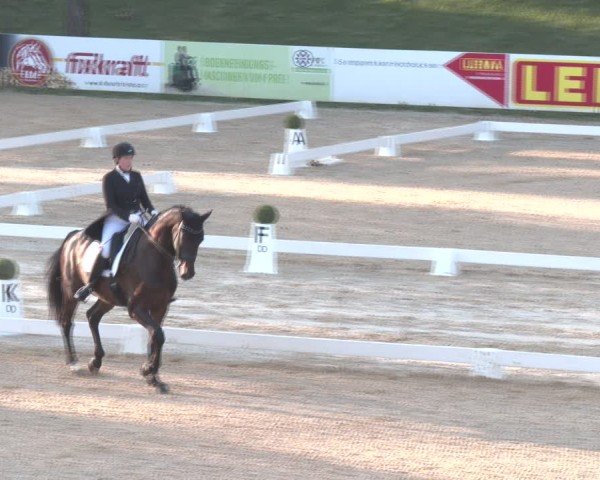 40. AWÖ Bundeschampionat 2024 in Stadl Paura