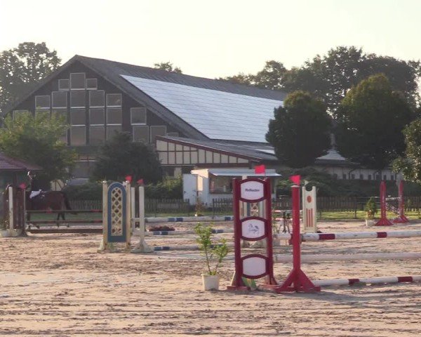 Reitturnier Breiholz "Am Moltkestein" 2024