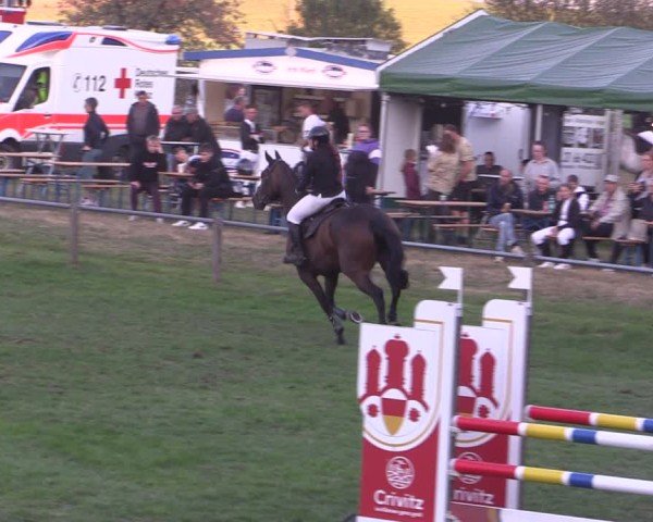 Reitturnier Crivitz 2024