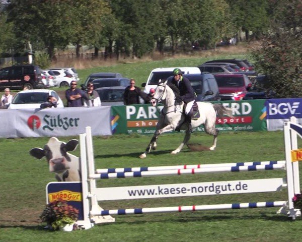 Reitturnier Crivitz 2024