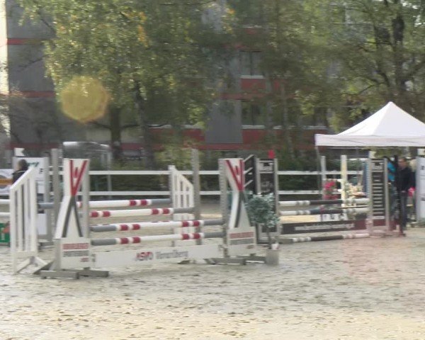 Reitturnier Bregenz 2024