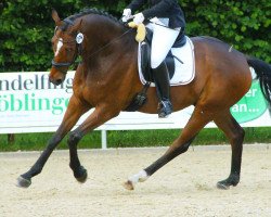 dressage horse Lenarano (Hanoverian, 2006, from Lauries Crusador xx)