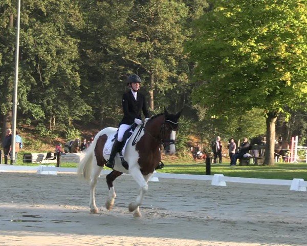 Reitturnier Seelitz 2024