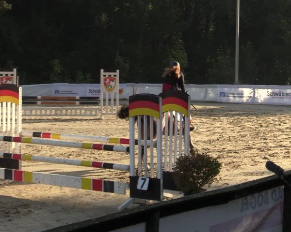 Reitturnier Buchenhof-Ibbenbüren 2024
