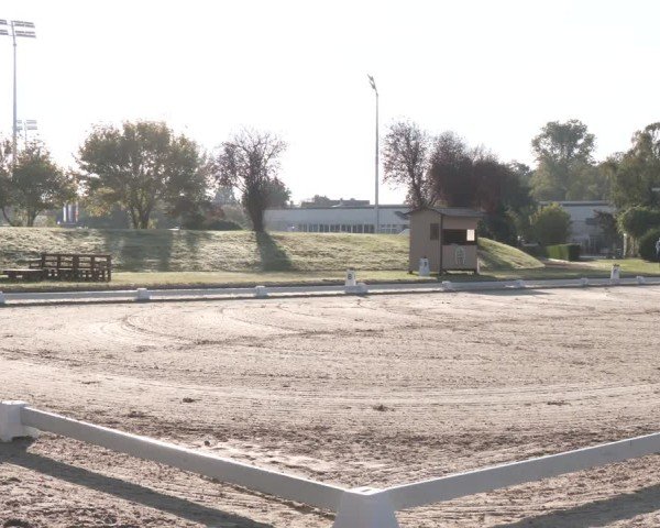 Reitturnier Langenfeld - Gut Langfort 2024