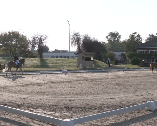 Reitturnier Langenfeld - Gut Langfort 2024