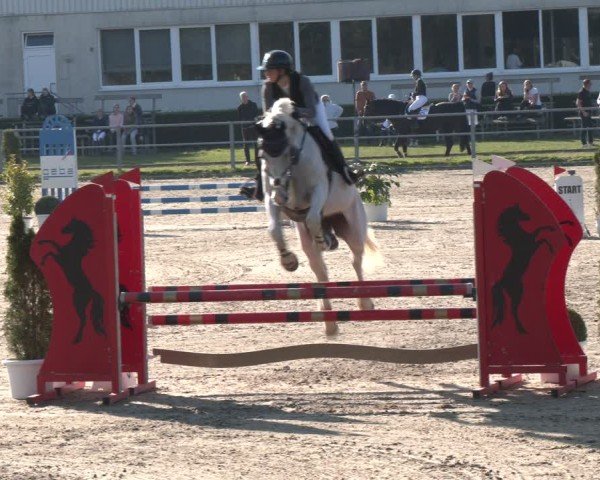 Reitturnier Langenfeld - Gut Langfort 2024