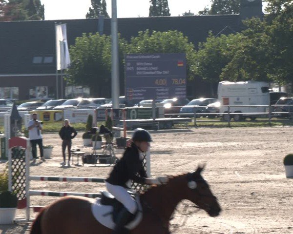 Reitturnier Langenfeld - Gut Langfort 2024