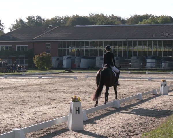 Reitturnier Langenfeld - Gut Langfort 2024