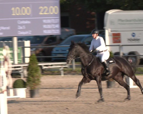 Reitturnier Langenfeld - Gut Langfort 2024