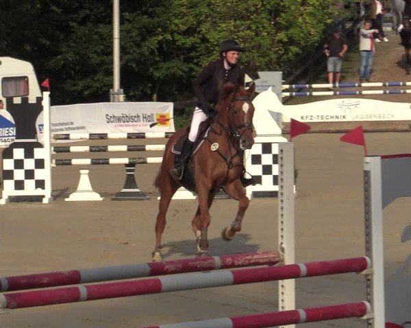 Reitturnier Buchenhof-Ibbenbüren 2024