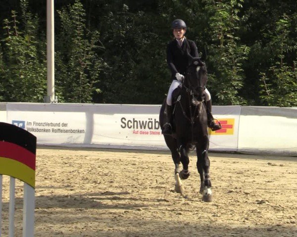 Reitturnier Buchenhof-Ibbenbüren 2024