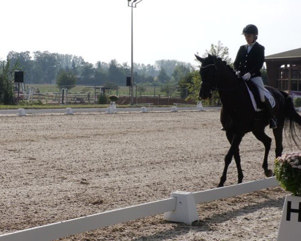 Reitturnier Rodgau-Weiskirchen 2024