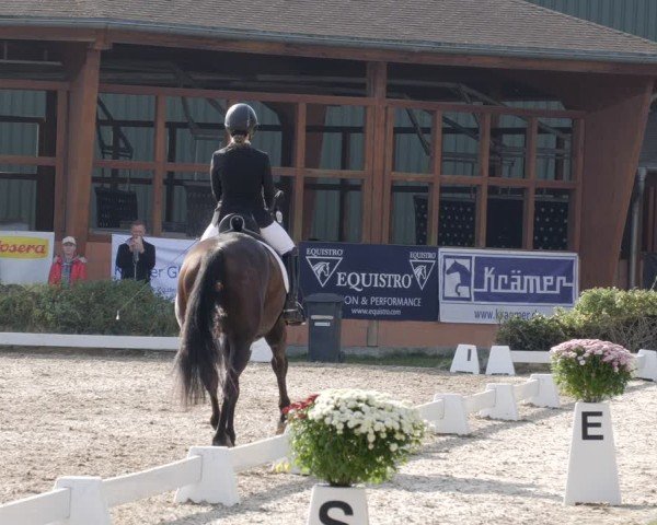 Reitturnier Rodgau-Weiskirchen 2024