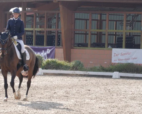 Reitturnier Rodgau-Weiskirchen 2024