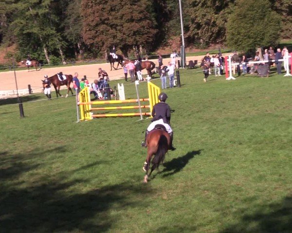 Reitturnier Seelitz 2024