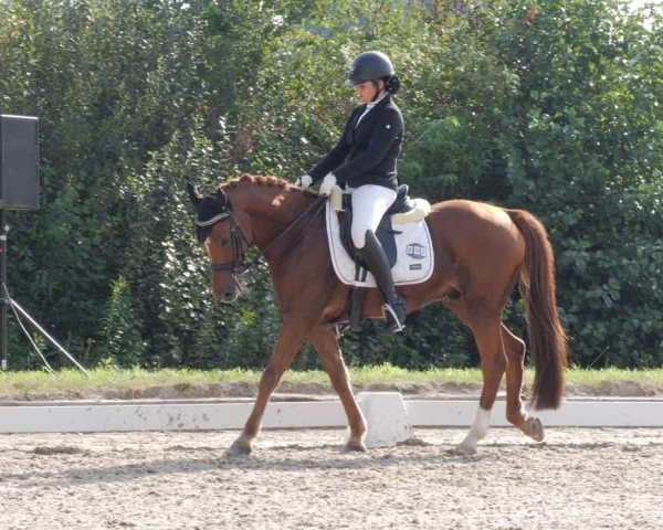 Reitturnier Rodgau-Weiskirchen 2024