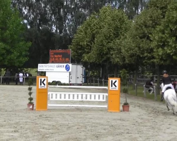 Reit- und Springturnier Münster-Roxel 2013