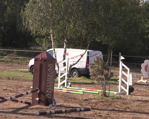 Reitturnier Schenkenhorst 2024