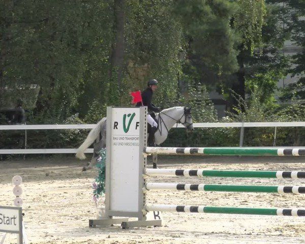 Reitturnier Bregenz 2024