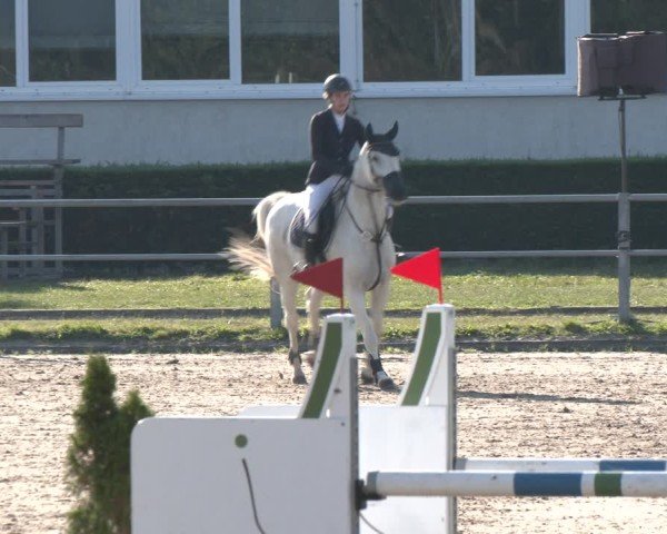 Reitturnier Langenfeld - Gut Langfort 2024